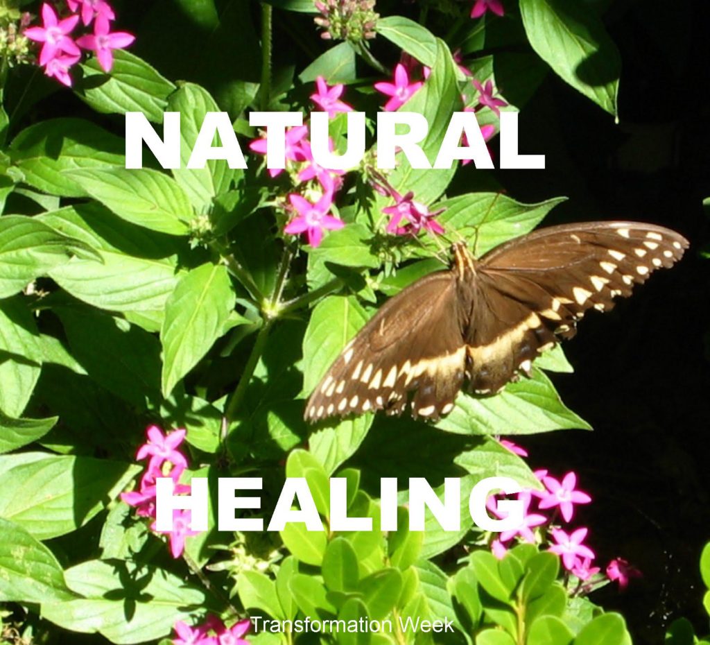 natural-healing-naturopathy-leading-edge-university